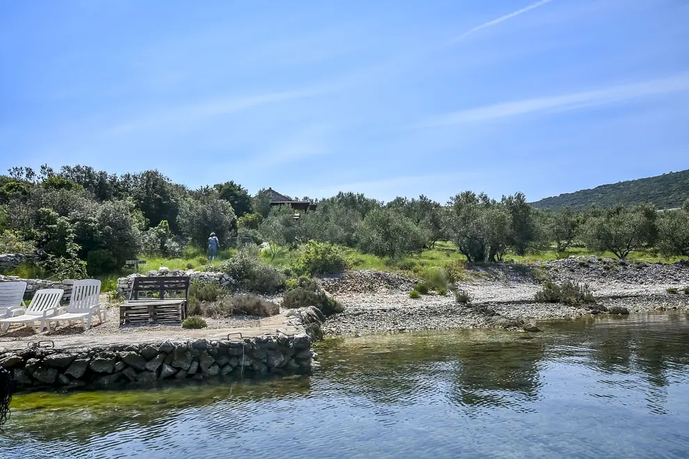 Ferienwohnung in Pasman haustiergeeignet 66118619 7038