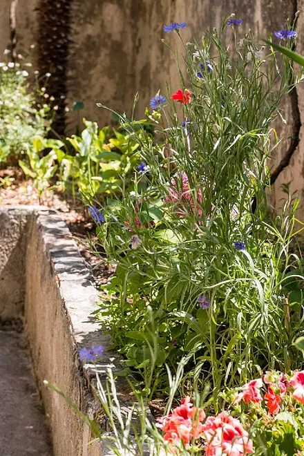 Ferienwohnung in Losinj haustiergeeignet 66128164 14392