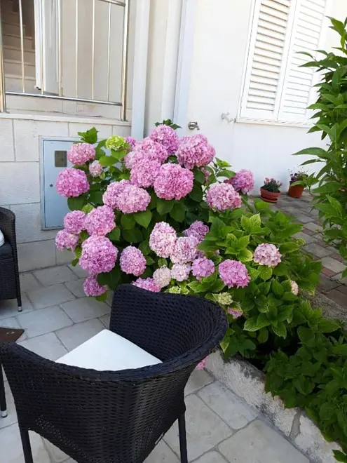 Ferienwohnung in Dubrovnik  999212195 39876 – Foto 6
