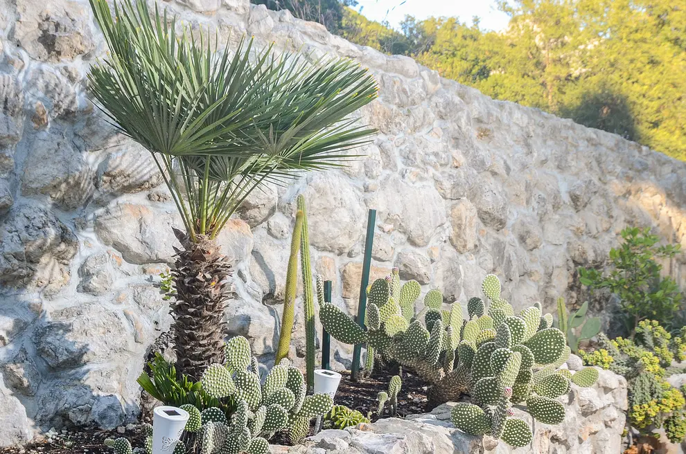 Ferienwohnung in Orebic  999205293 33458