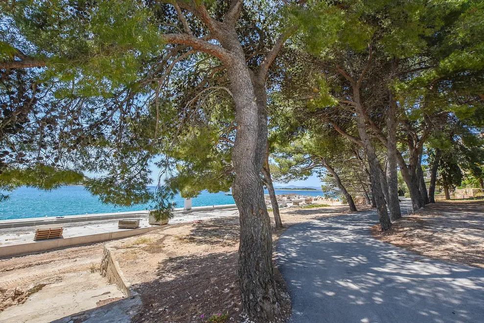 Ferienwohnung in Biograd  999209572 37493 – Foto 17