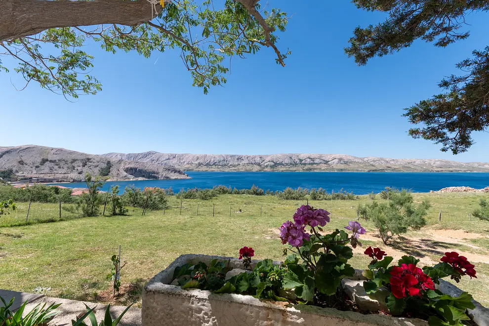 Ferienwohnung in Pag mit Pool 999213062 40602 – Foto 34