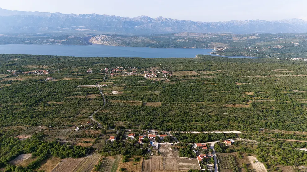 Ferienwohnung in Novigrad mit Pool 999213432 40935 – Foto 23