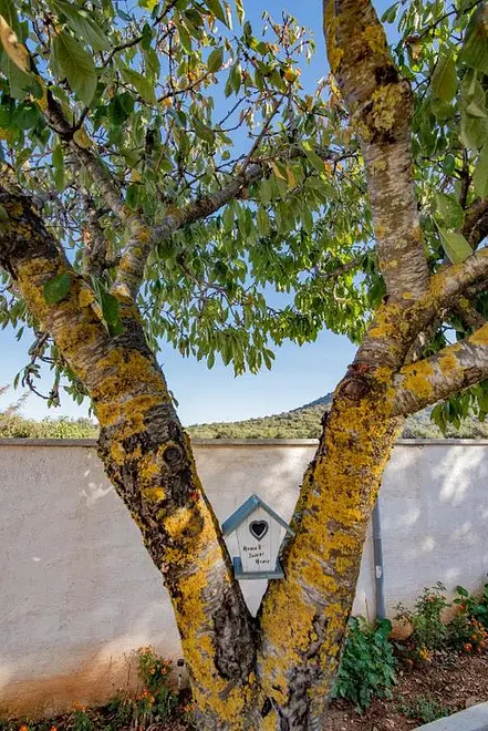 Ferienwohnung in Vodice mit Pool 999210444 38304 – Foto 9