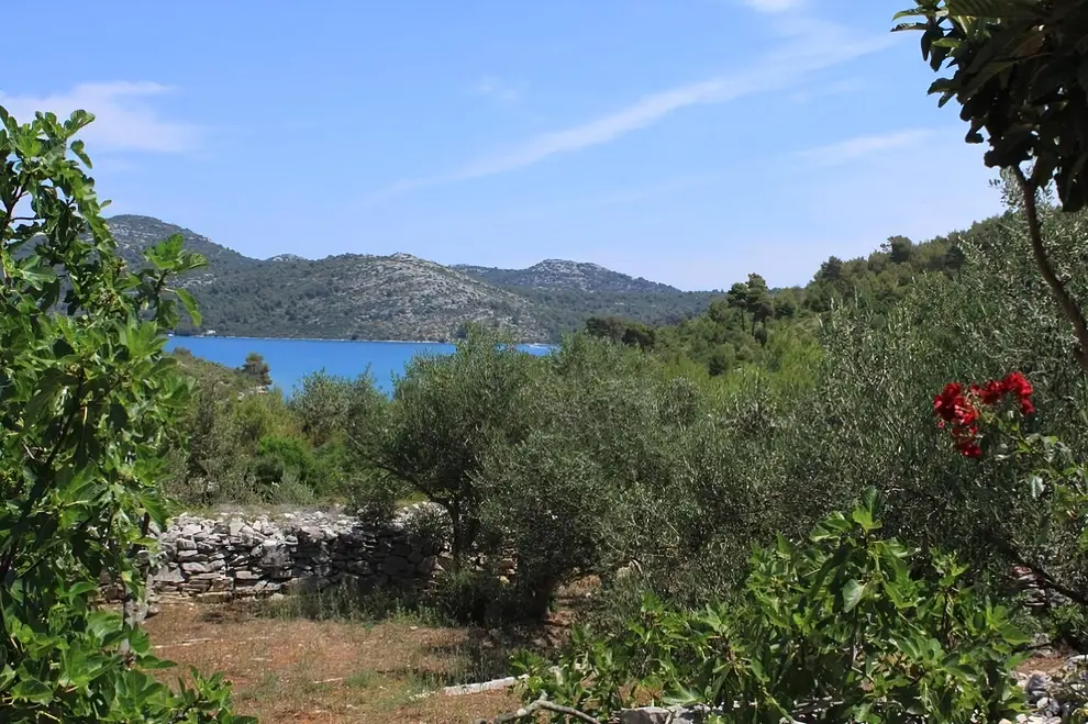 Ferienwohnung in Dugi Otok  999211377 39153 – Foto 2