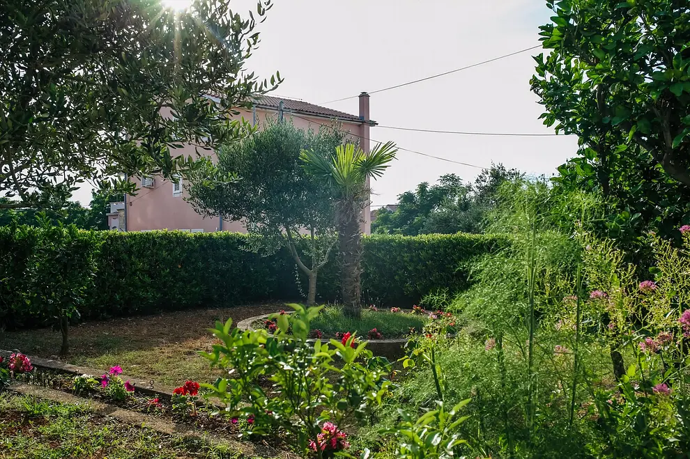 Ferienappartment in Novalja  999209828 37728