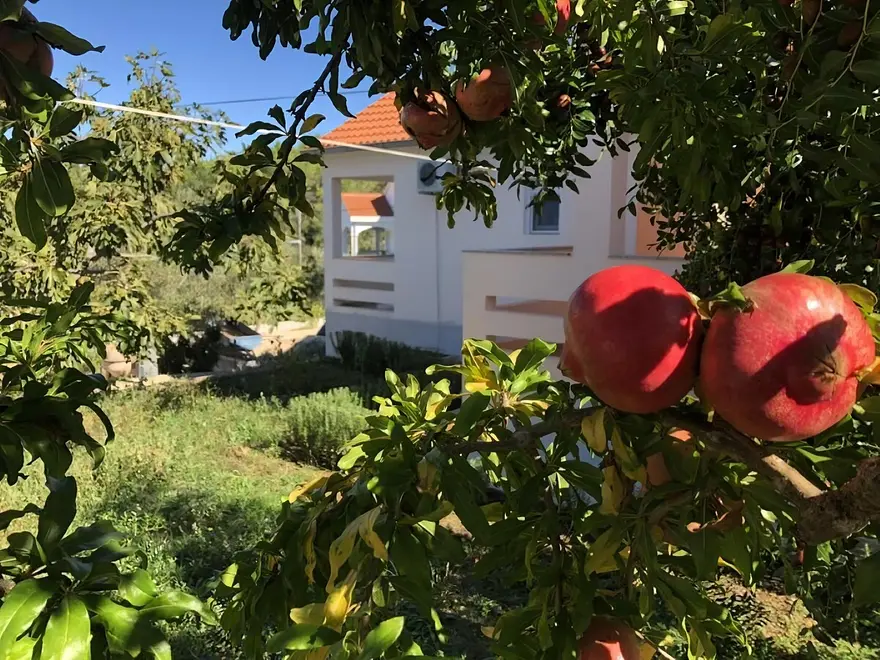 Ferienwohnung in Preko  999227350 42455 – Foto 14