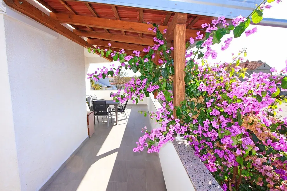 Ferienwohnung in Nin haustiergeeignet 66156837 28715