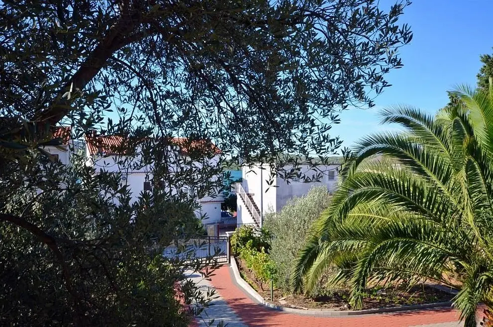 Ferienwohnung in Pirovac  6617461 2052