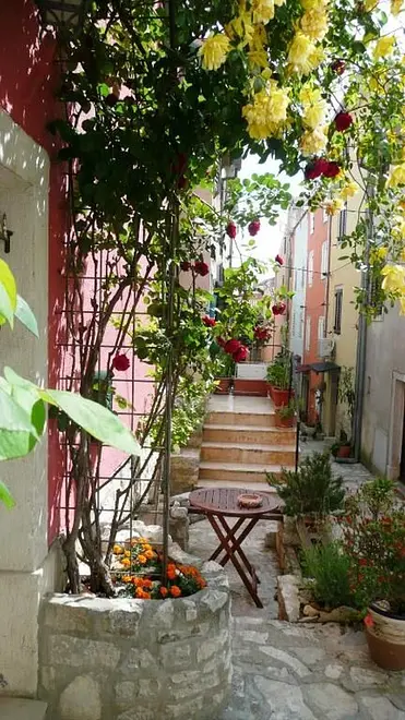 Ferienwohnung in Vrsar  999203667 31900 – Foto 5
