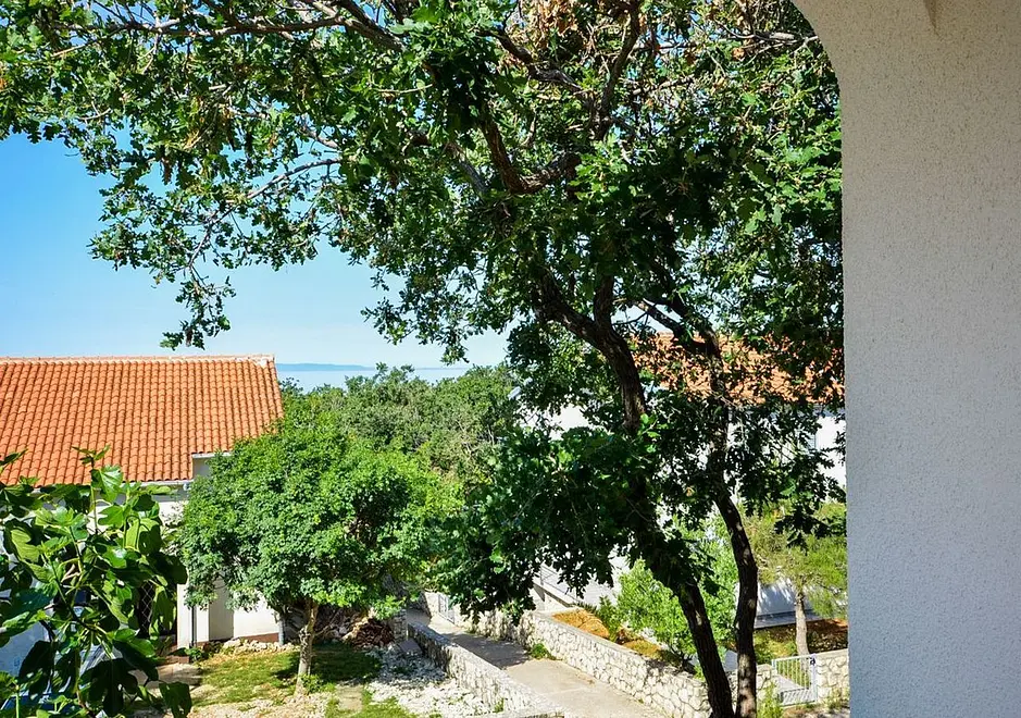 Ferienwohnung in Novalja  6611190 262