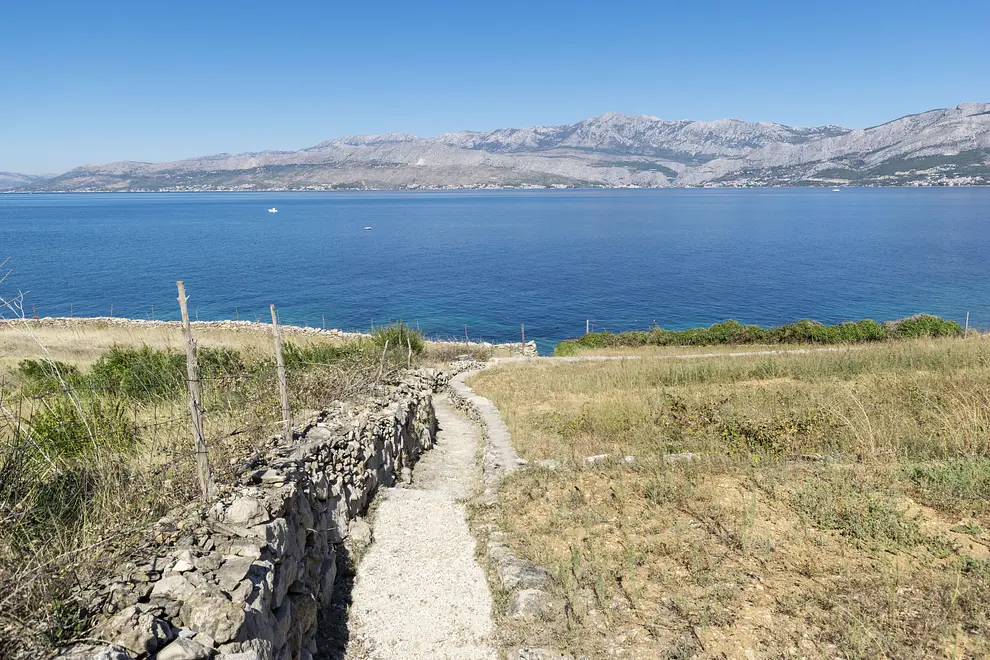 Ferienwohnung in Brac haustiergeeignet 999202862 31135 – Foto 12