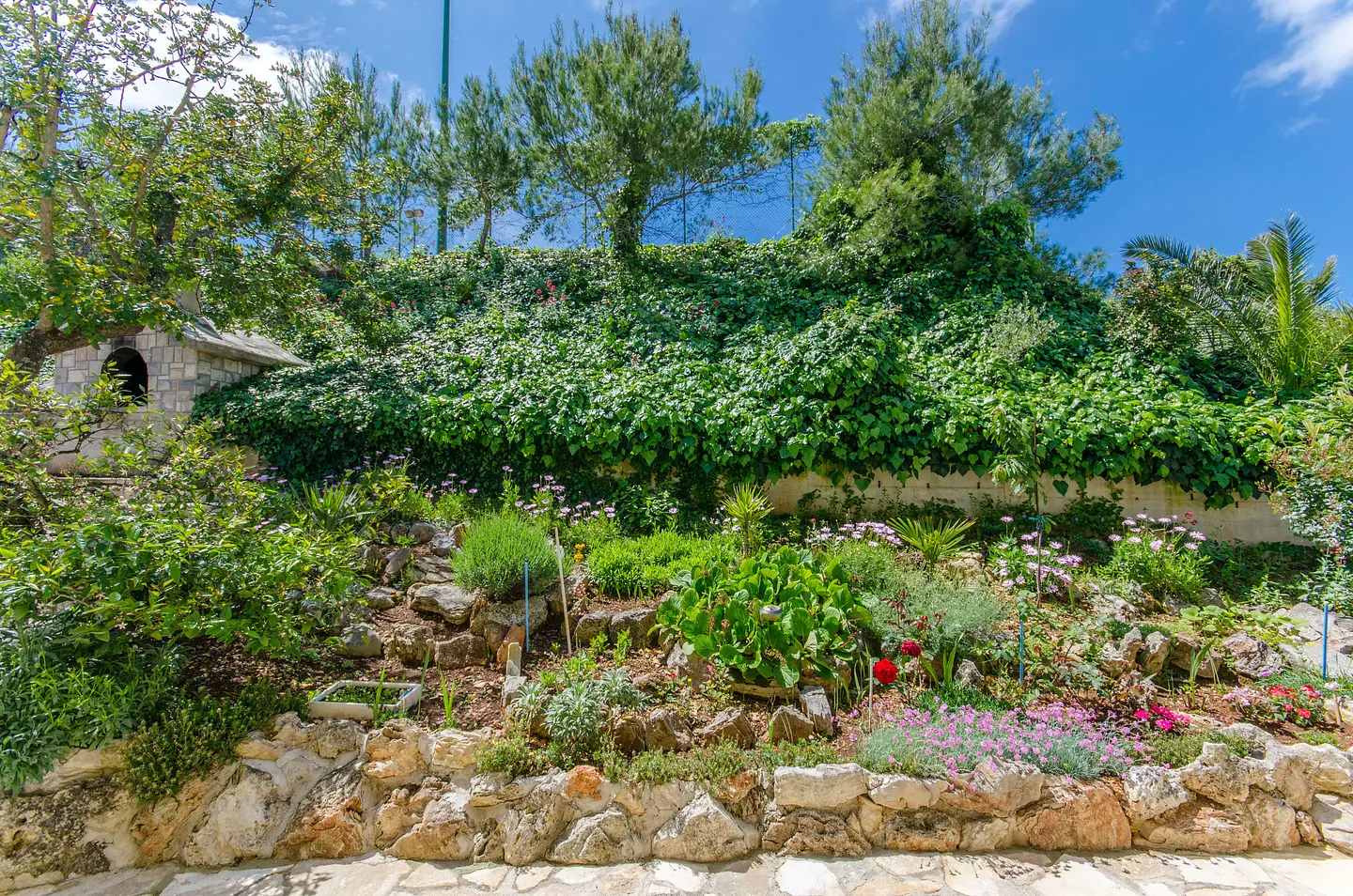 Ferienwohnung in Solta mit Pool 999204445 32640