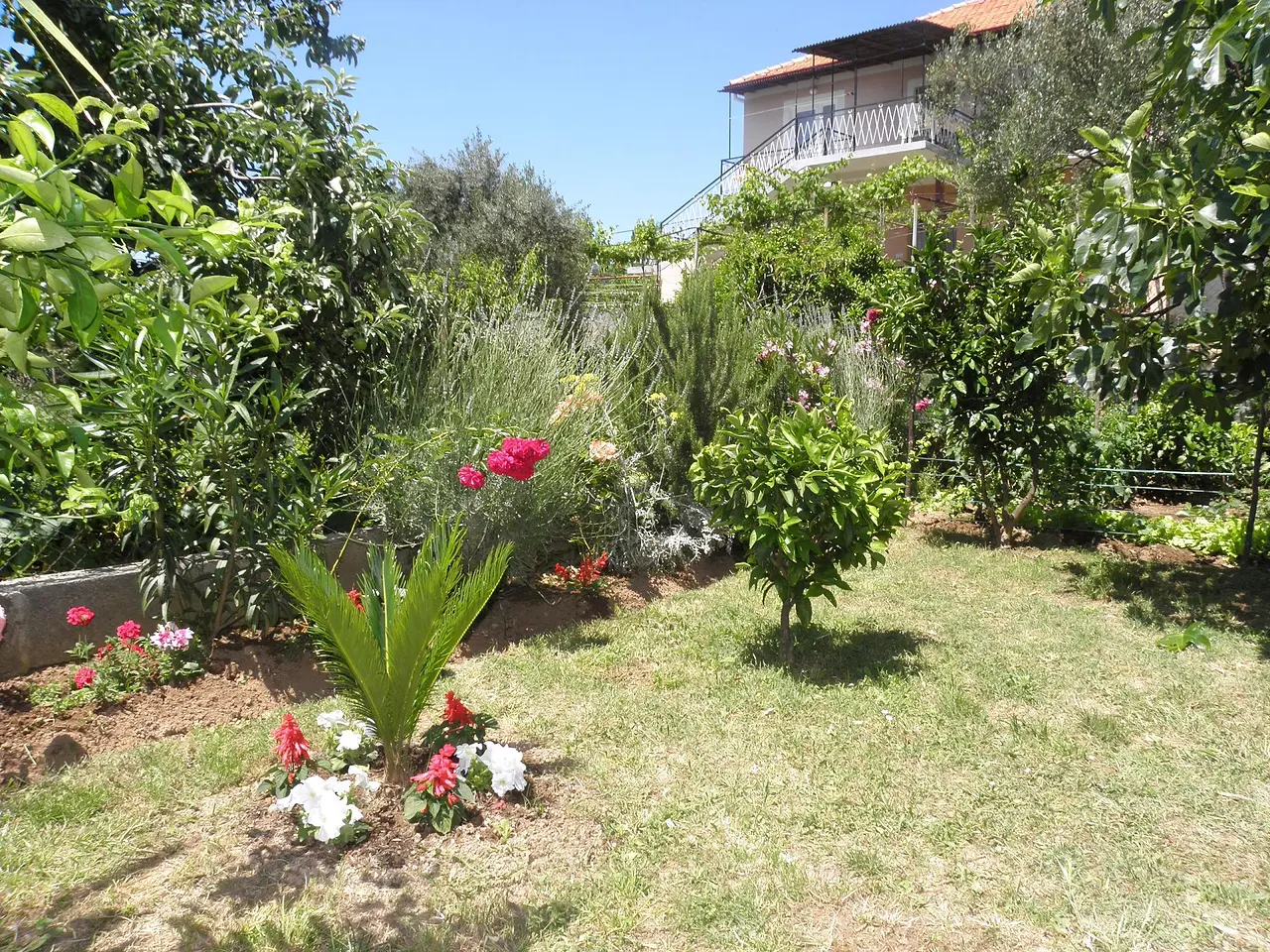 Ferienwohnung in Bibinje  999209823 37723