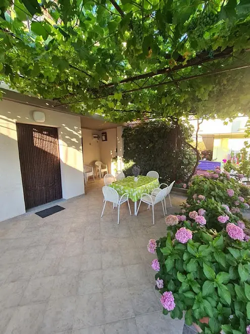 Ferienwohnung in Sukosan haustiergeeignet 999210674 38517 – Foto 12