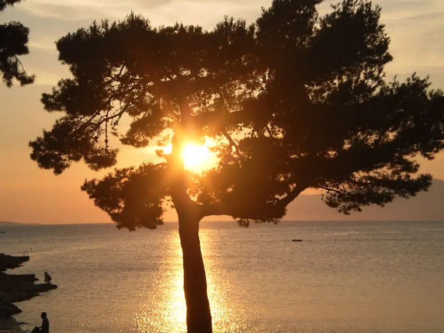 Ferienwohnung in Makarska haustiergeeignet 999202954 31219 – Foto 15