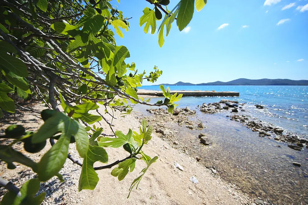 Ferienwohnung in Biograd  999210015 37909 – Foto 23