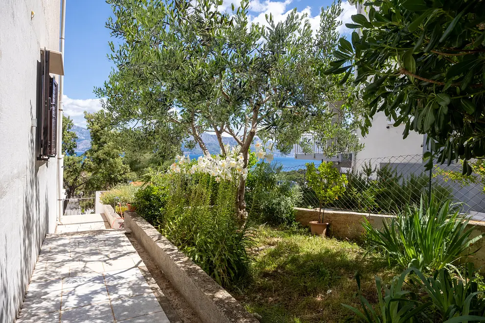 Ferienwohnung in Brac  999204110 32322 – Foto 14