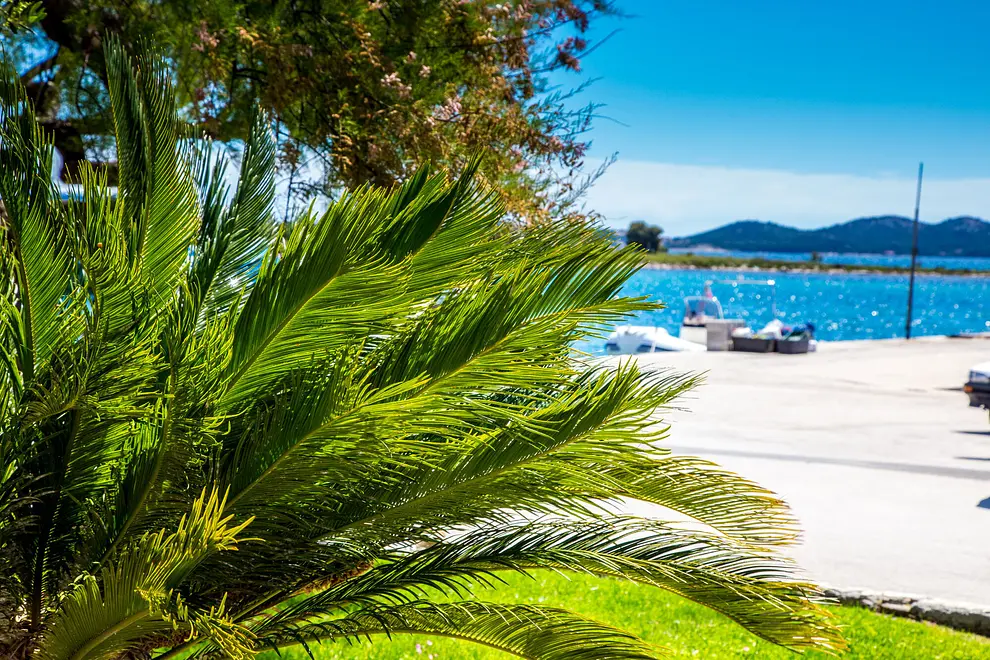 Ferienwohnung in Biograd haustiergeeignet 999209471 37394 – Foto 17