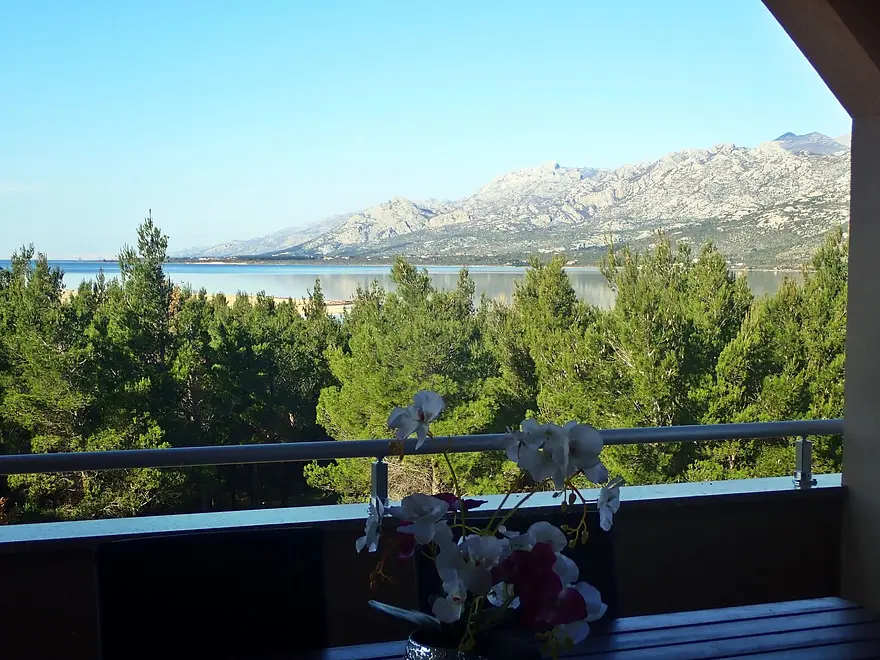 Ferienwohnung in Starigrad  999205525 33680 – Foto 1
