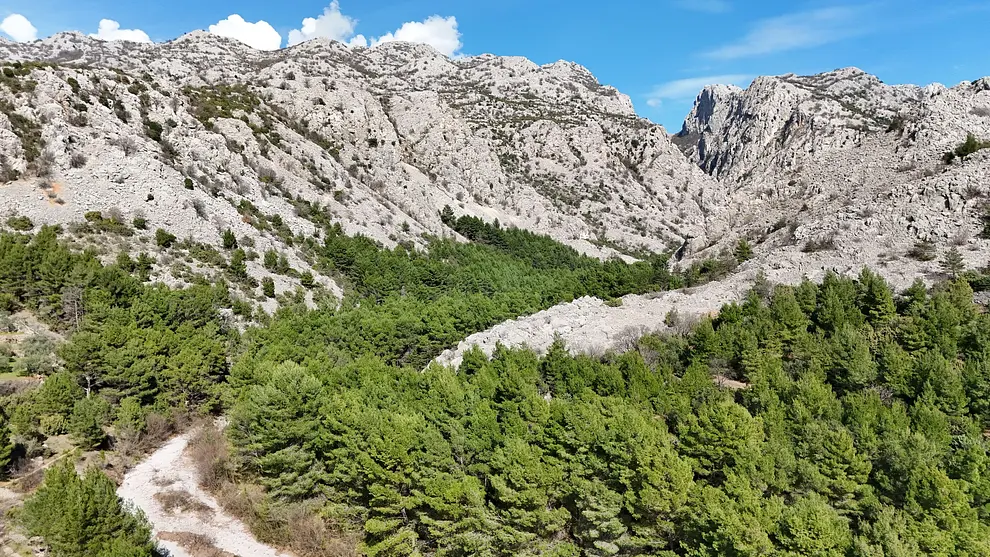 Ferienwohnung in Starigrad  999229738 42630 – Foto 13