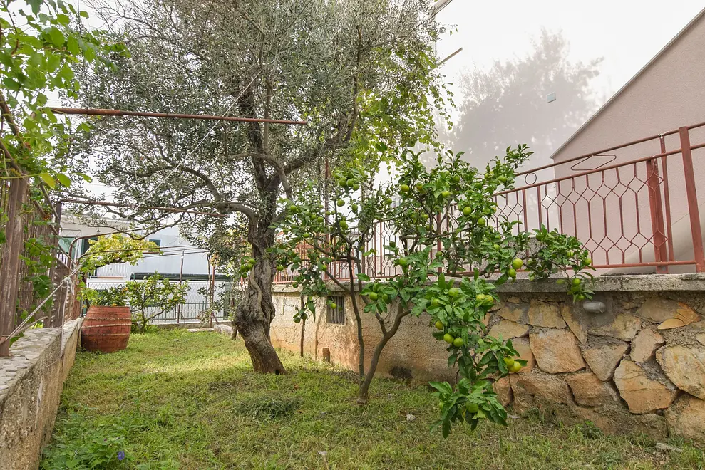 Ferienwohnung in Rogoznica  999202834 31107 – Foto 24