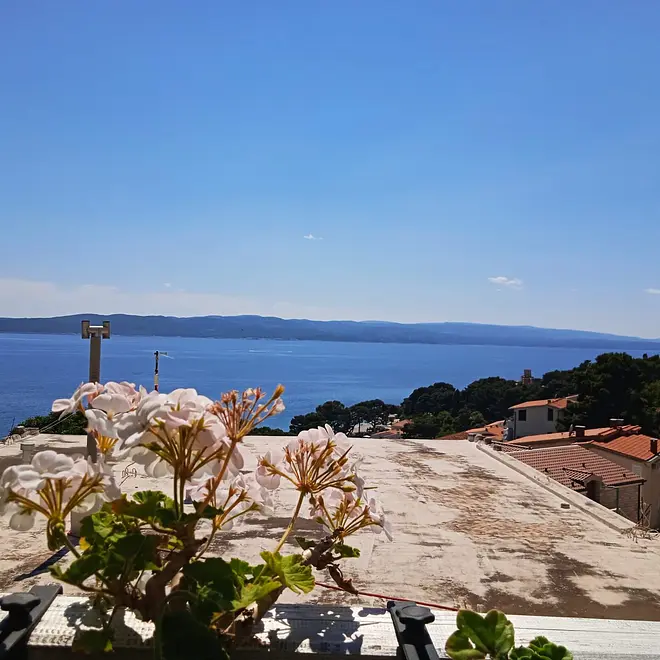 Ferienwohnung in Brela  66139250 22090