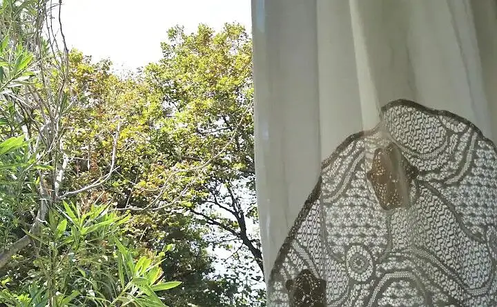 Ferienwohnung in Pag haustiergeeignet 66144151 25060