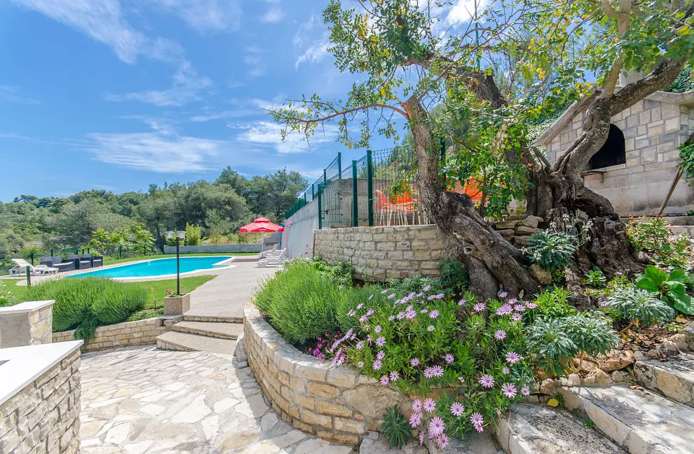 Ferienwohnung in Solta mit Pool 999204445 32640 – Foto 21