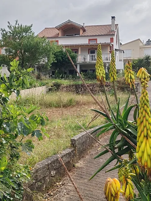 Ferienwohnung in Dugi Otok haustiergeeignet 999211540 39308 – Foto 10