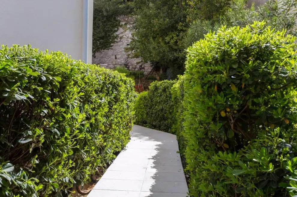 Ferienwohnung in Dubrovnik  999207294 35356 – Foto 30