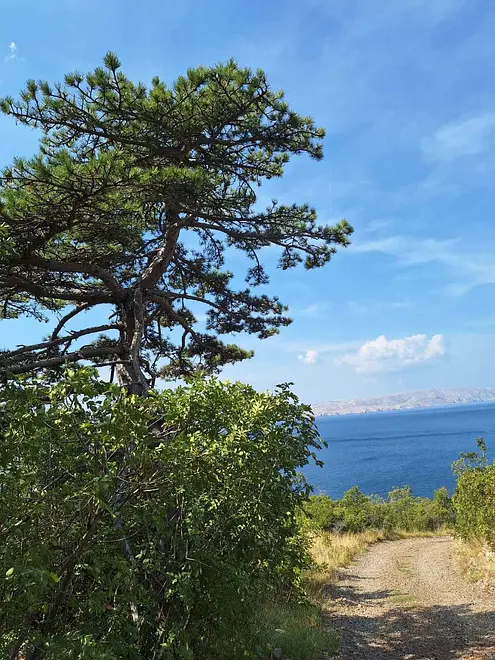 Ferienwohnung in Senj  999209185 37114 – Foto 28