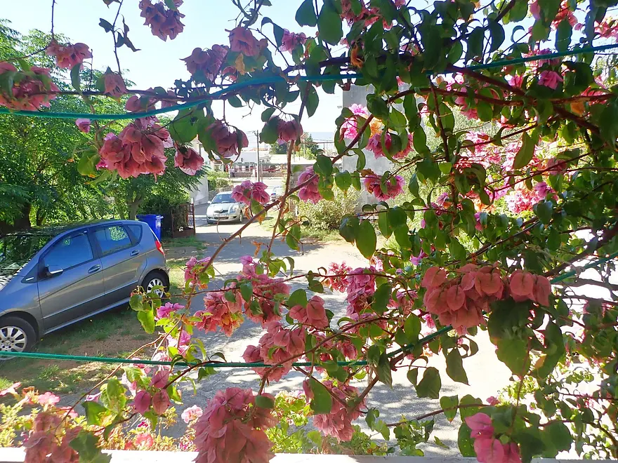Ferienwohnung in Starigrad  999204434 32629 – Foto 24
