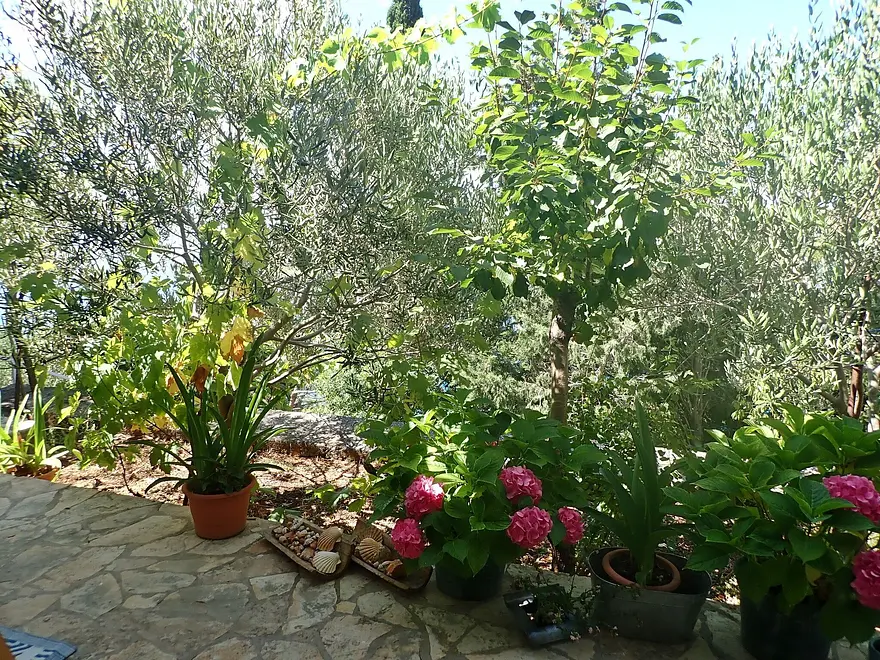 Ferienwohnung in Karlobag  999207903 35903