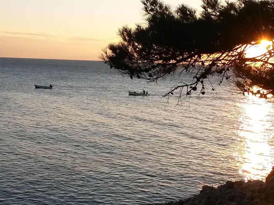 Ferienwohnung in Losinj  999203528 31773