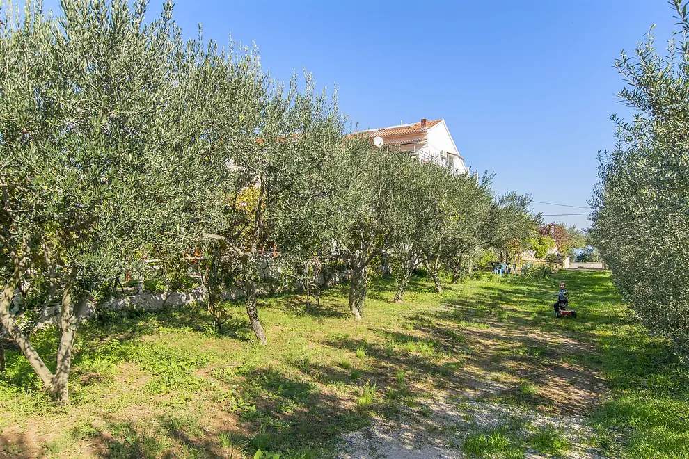 Ferienwohnung in Pasman  999205742 33880