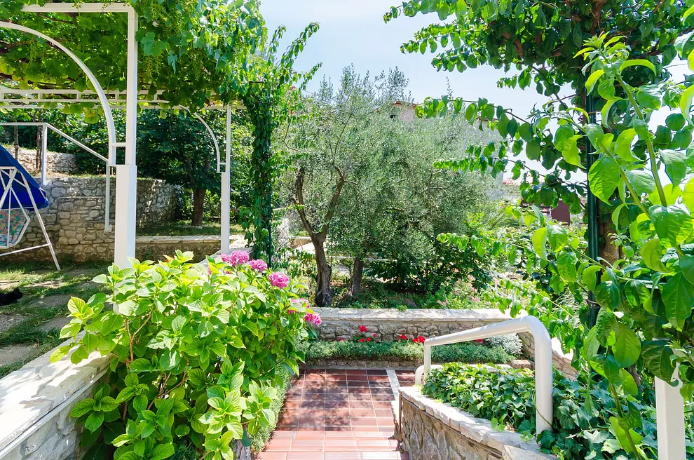 Ferienwohnung in Labin haustiergeeignet 999203191 31447