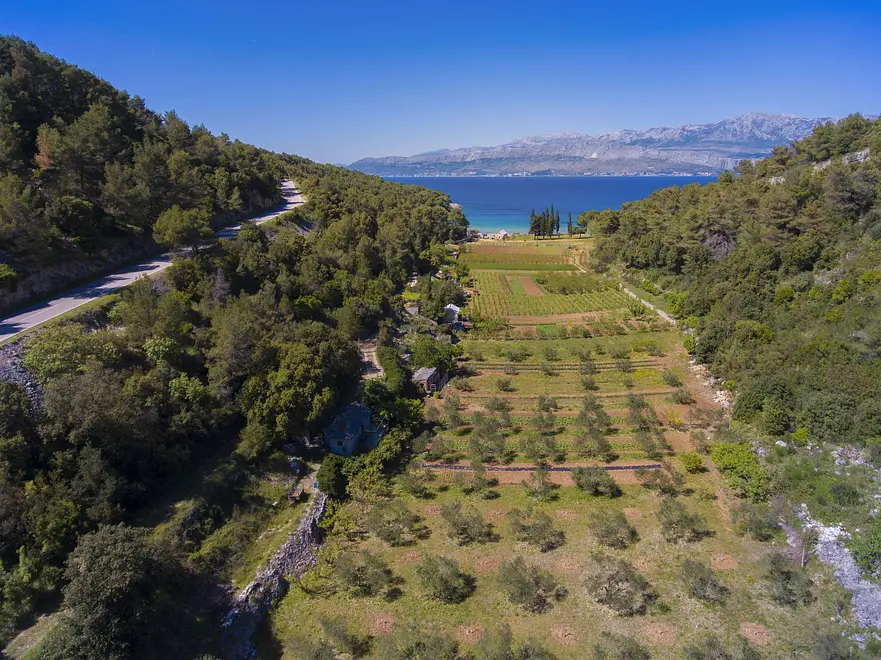 Ferienwohnung in Brac haustiergeeignet 999203098 31355 – Foto 3