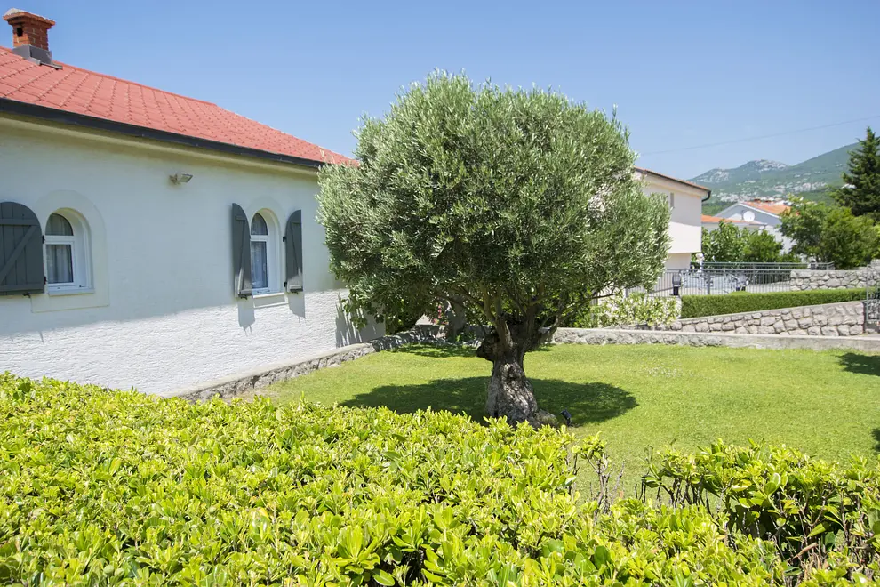 Ferienhaus in Klenovica mit Pool 999215415 41032 – Foto 6
