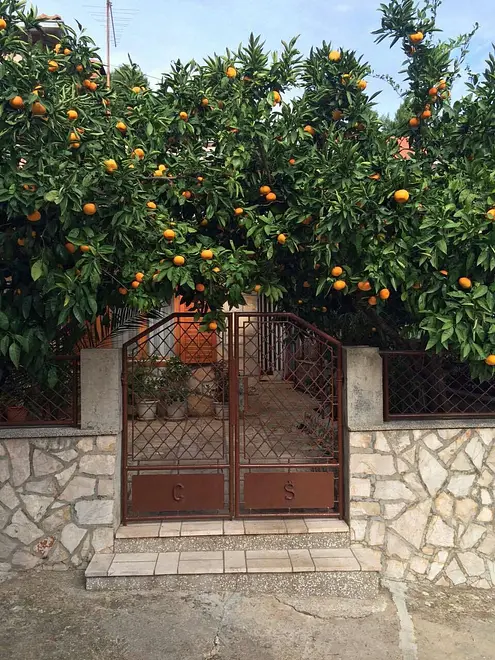 Ferienwohnung in Hvar haustiergeeignet 66126739 13232