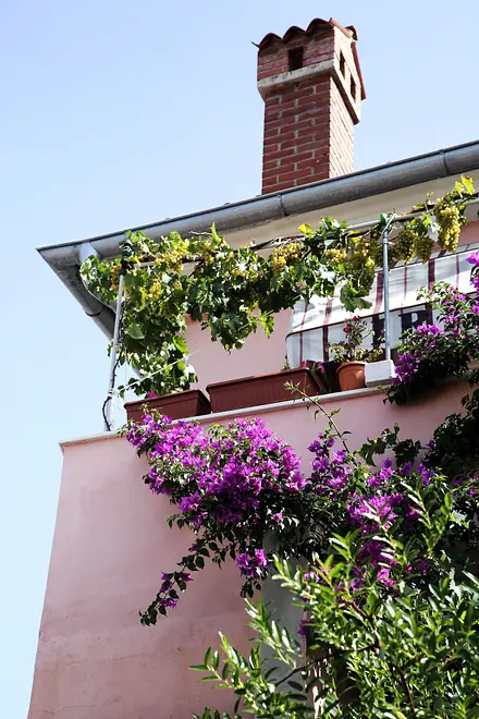 Ferienwohnung in Losinj  999204615 32807 – Foto 12