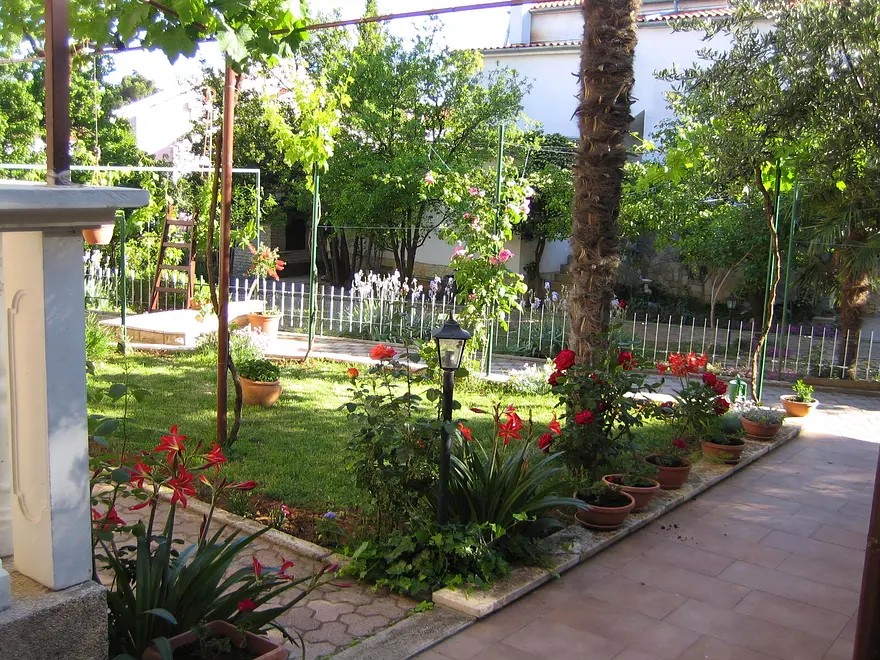 Ferienwohnung in Biograd  999210540 38391 – Foto 5