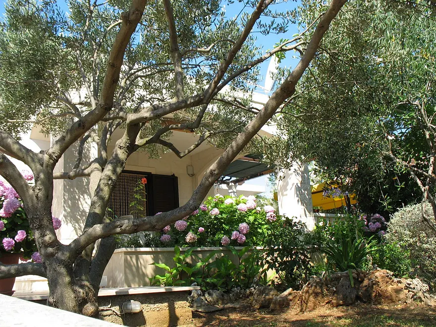 Ferienwohnung in Brac  999202433 30720 – Foto 18