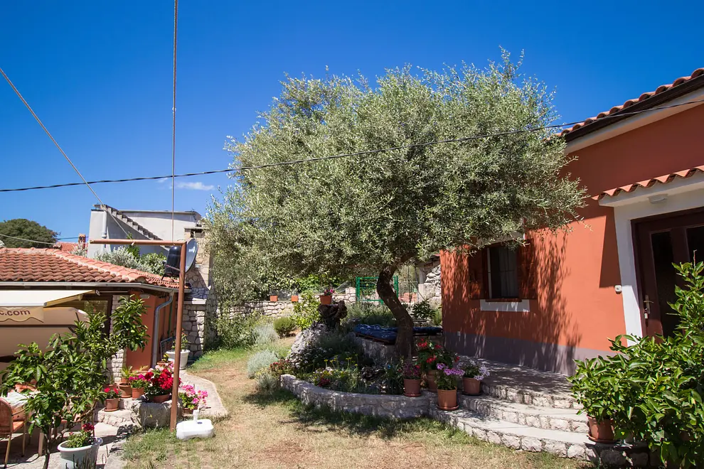 Ferienwohnung in Losinj  999221203 41531 – Foto 22
