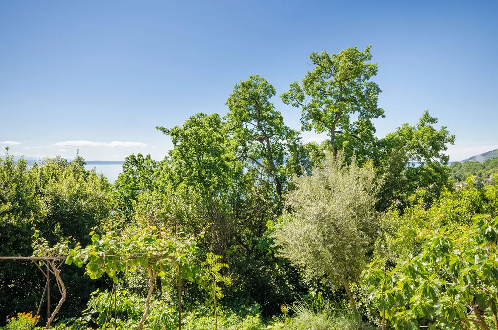 Ferienwohnung in Opatija haustiergeeignet 999203934 32158 – Foto 12