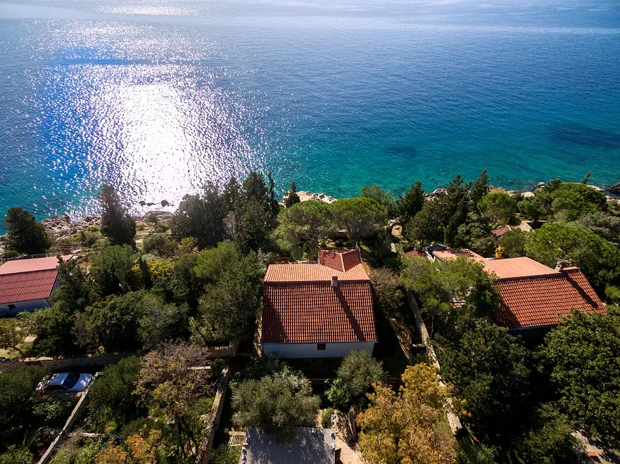 Ferienwohnung in Novalja haustiergeeignet 66112483 3909