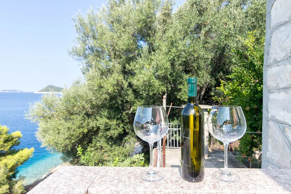 Ferienwohnung in Lastovo haustiergeeignet 661848 66