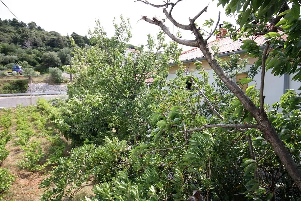 Ferienwohnung in Kampor  66152460 26339