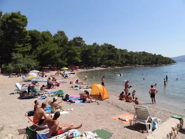 Ferienwohnung in Hvar haustiergeeignet 66117881 6438