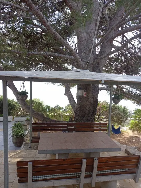 Ferienwohnung in Solta  66153278 26977